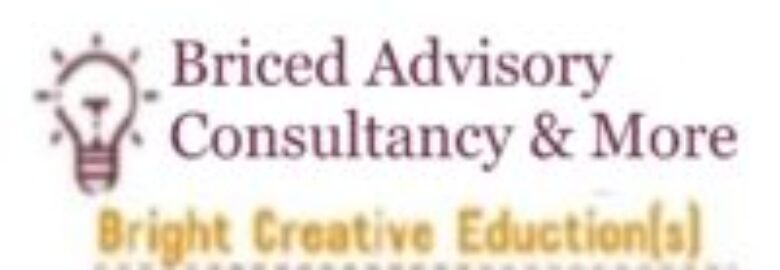 BriCed Advisory Consultancy & More