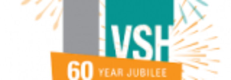 NV UNITED SURINAMESE HOLDING COMPANY (VSH United)